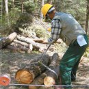 진필환경 이미지