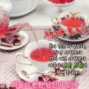 숀커피