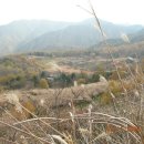 감포시장 이미지