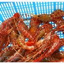 비치온호텔 이미지