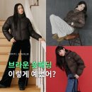 P-5F01 | 겨울 가기전 꼭 사야지! 브라운 숏패딩 아우터 위시리스트 추천템 5