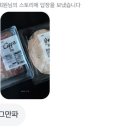 샌디치 이미지