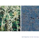 자연기획 이미지