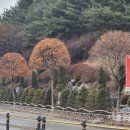 태화중앙로 이미지