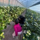 봄이네 농장 이미지