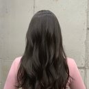 (주)토니브라운