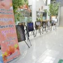 제주장애인자립생활센터 이미지