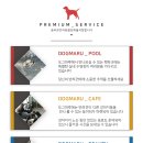 도그마루 강아지 고양이 동탄점 이미지