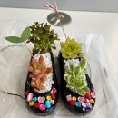 가야2동-6 이미지