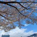 남천강변로 이미지