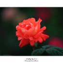 인천대공원 내 이미지