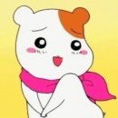 연서목장 | 여름 더위 상기시키기