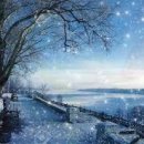 대구강아지분양 테디럽 이미지