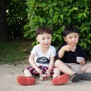 운정건강공원 이미지
