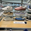 270-4006 | 라코스테 스니커즈 백코트 RZ4006M54G 내돈내산!