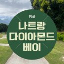 베이핑고 이미지
