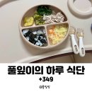 삼계풀잎 | 돌아기 후기이유식 완료기 풀잎이의 냠냠 하루 식단