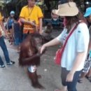 만달라pc 이미지