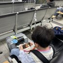 홍도치안센터 건너편 | 초등 아들과 일본 후쿠오카 당일치기2-여행편 (경험담, 꿀팁 공유)