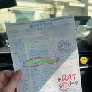 팔도전산 | 섬유선종 맘모톰 후기 ! 🏥