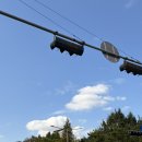 금우빌딩 | 11월 가을이 사라졌다.