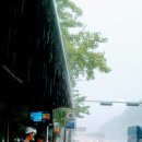비봉산(飛鳳山)에 비가 내려도 (내괘남괘모괘) 20170730 이미지