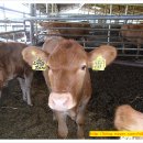 지당목장 이미지