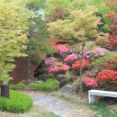 픽션하우스 이미지