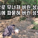 성심원 이미지