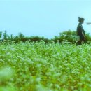 하나그린㈜ 한겨레