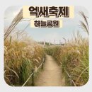 5579 | 서울 상암 하늘공원 억새축제 2025, 10월 축제 기간 정보 가을 나들이 가볼만한 곳