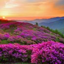 허브밸리(주차장 버스) 이미지