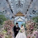 천안 베리컨벤션 “피에스타홀“ 아이폰스냅 촬영후기 | 디에이스냅
