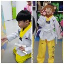 용인대학사태권도장 이미지