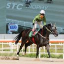 캡틴축산 이미지