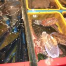 자갈치시장 이미지