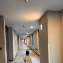 오라카이 청계산호텔 | 서울 오라카이 청계산 호텔 솔직 후기 - 35개월 아기와 2박3일 가족여행(디럭스 할리우드 더블룸 조식...