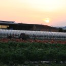 선산대로-25 이미지