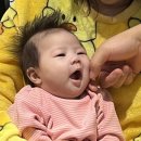 홍수산 이미지