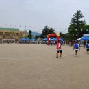 이천매곡초등학교 네이버블로그