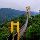 보은전통시장 이미지