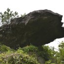 서홍동-8 이미지