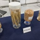 (주)케일 농업회사법인 이미지