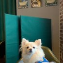 수원-0148 이미지