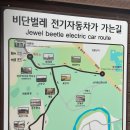[경북/경주] 아이랑 6월 첨성대 꽃구경 / 비단벌레차 당일 예약 및 후기