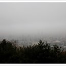 보문산공원로 이미지