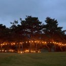 초정힐링캠핑장 이미지