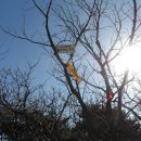 와항마을 이미지