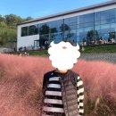 천안 대형카페 초록초록뷰와 핑크뮬리가 유명한 &#34;핀스커피&#34;
