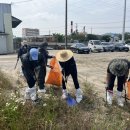 농림축산검역본부호남지역 이미지